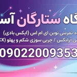 باشگاه ستارگان آسمان در چیتگر