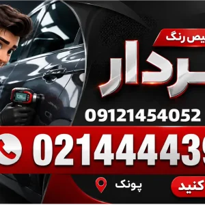 تشخیص رنگ سردار در پونک