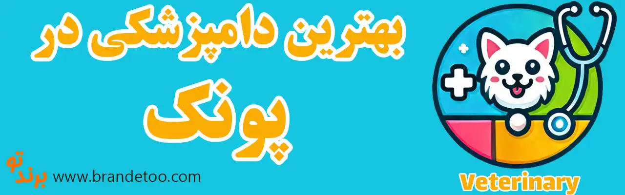 20-بهترین-دامپزشکی-های-پونک