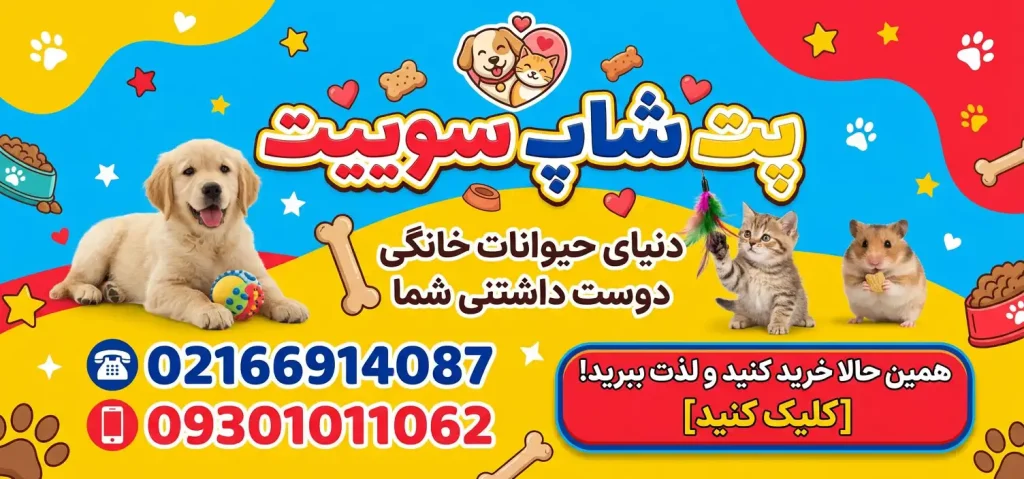 پت‌شاپ سوییت در میدان توحید