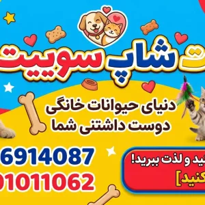 پت‌شاپ سوییت در میدان توحید