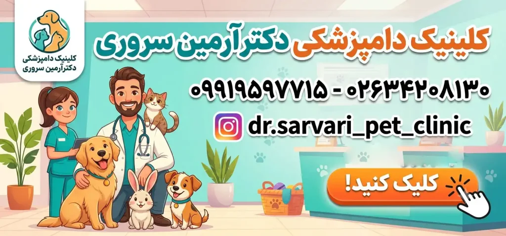 کلینیک دامپزشکی دکتر آرمین سروری در بلوار رستاخیز