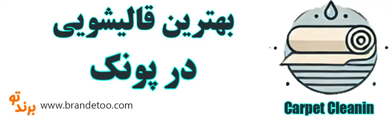 20-بهترین-قالیشویی-پونک
