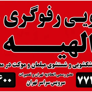 قالیشویی الهیه 
