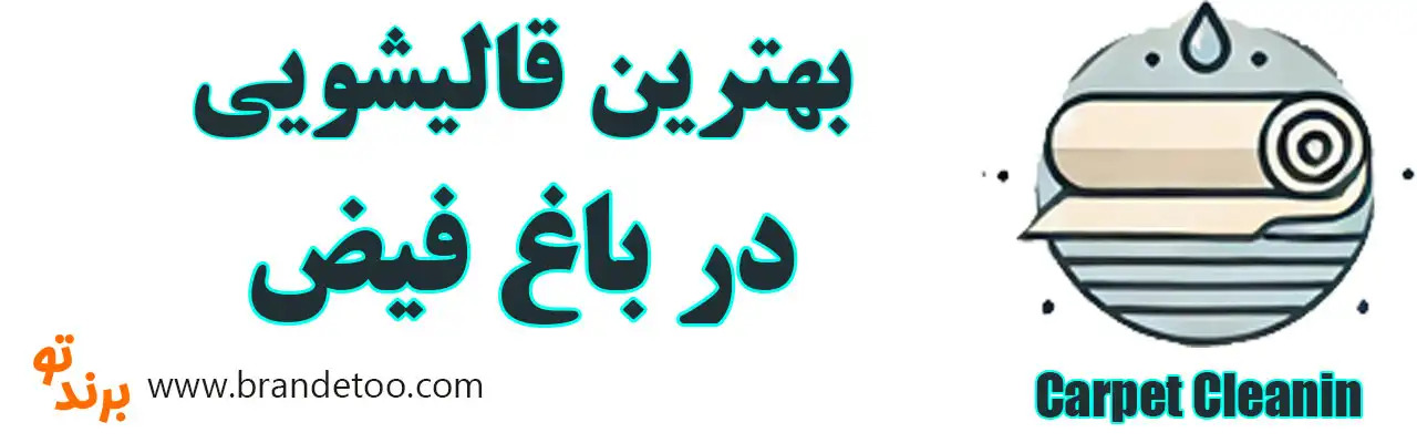 20-بهترین-قالیشویی-باغ-فیض
