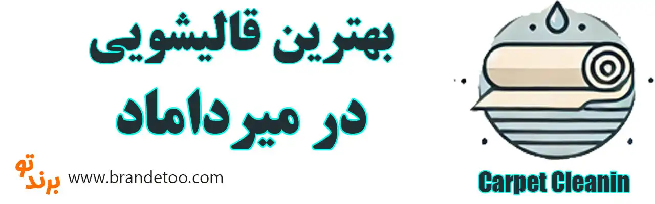 20-بهترین-قالیشویی-میرداماد