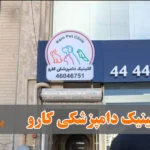 دامپزشکی کارو پونک