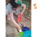 دبستان دخترانه سرآمد در ولیعصر