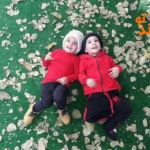 دبستان دخترانه سرآمد در ولیعصر