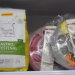 پت شاپ پیتو پت در اسکندری