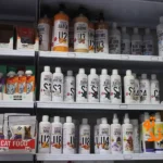 پت شاپ پیتو پت در اسکندری