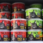 پت شاپ پیتو پت در اسکندری