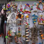 پت شاپ پیتو پت در اسکندری