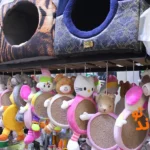 پت شاپ پیتو پت در اسکندری