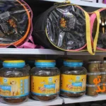 پت شاپ پیتو پت در اسکندری