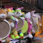 پت شاپ پیتو پت در اسکندری