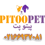 پت شاپ پیتو پت در اسکندری