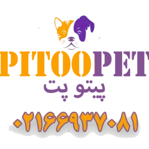 پت-شاپ-پیتو-پت-گالریی-1