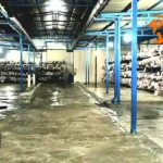 کارخانه قالیشویی دلفین در مهرشهر