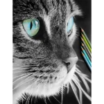 گالری نقاشی ناهید در شهرک غرب