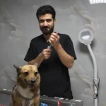 دامپزشکی بل در شهر قدس