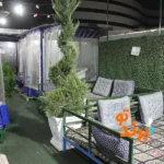 بناب آذربایجان عابدی در گلشهر