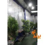 بناب آذربایجان عابدی در گلشهر