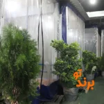 بناب آذربایجان عابدی در گلشهر