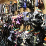 کلینیک دامپزشکی رایا در فردیس