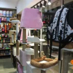 کلینیک دامپزشکی رایا در فردیس