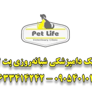 کلینیک-دامپزشکی-شبانه‌روزی-پت-لایف-گالری-1