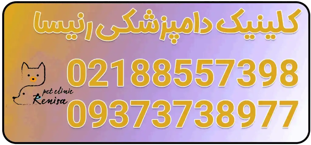1.-کلینیک-دامپزشکی-و-گرومینگ-رنیسا-سس