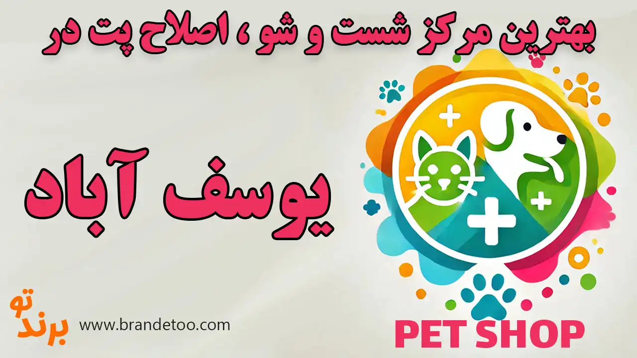 10-بهترین-اصلاح-و-شستشو-پت-یوسف-آباد