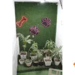 کلینیک دامپزشکی و پت شاپ دکتر راد در اسلامشهر