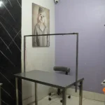 کلینیک دامپزشکی و پت شاپ دکتر راد در اسلامشهر