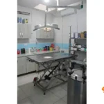 کلینیک دامپزشکی و پت شاپ دکتر راد در اسلامشهر