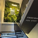 باشگاه ورزشی تیوان در پاسداران