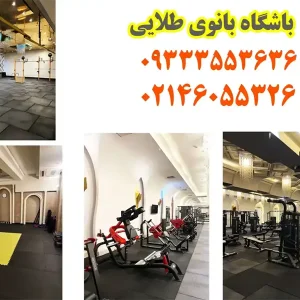باشگاه-ورزشی-بانوی-طلایی-در-بلوار-کوهک-گالری-1