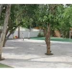 مدرسه ابتدایی دخترانه هما در مهرشهر