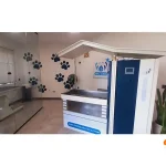 پلی کلینیک پت کلاب در شهرک غرب