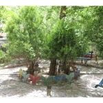 پیش دبستان و دبستان دخترانه سیمیای ایرانیان در شهرک گلستان