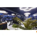 باشگاه لئو در پونک