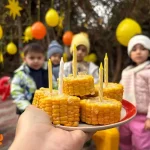 مهدکودک و پیش دبستانی چتر سفید در تهرانپارس