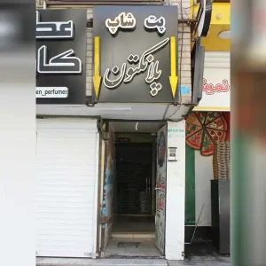 پت-شاپ-پلانگتون1