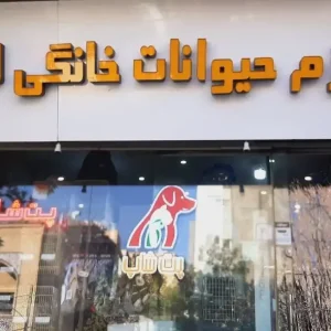 پت شاپ لاویا در پونک