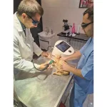 کلینیک دامپزشکی پت لند در شهرقدس