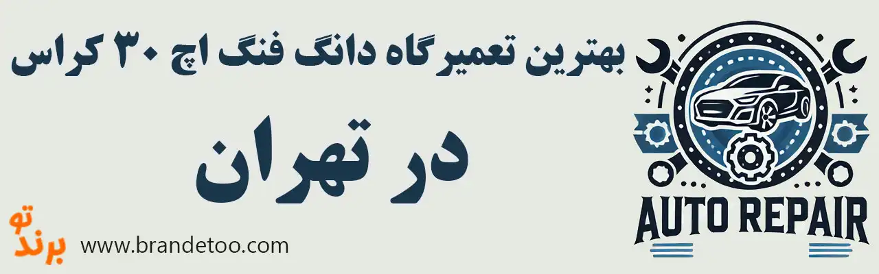 ۱۵-بهترین-تعمیرگاه-دانگ-فنگ-H30