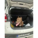تعمیرگاه مقدم در تهرانپارس