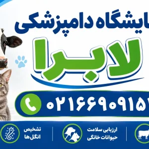 آزمایشگاه-دامپزشکی-لابرا