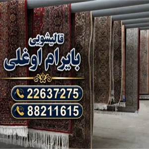 قالیشویی و مبل شویی بایرام اوغلی7